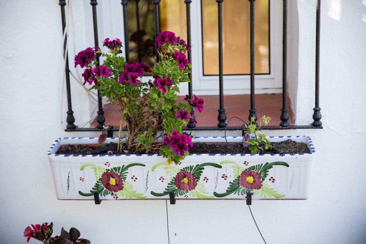 Fuego Blanco Bed & Breakfast Alora Ngoại thất bức ảnh